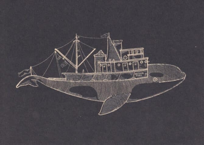 Orca Postcard Design from Whaleboats: A Kyler Martz Postcard Set