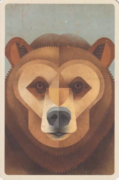Kodiak Bear Illustration Postcard