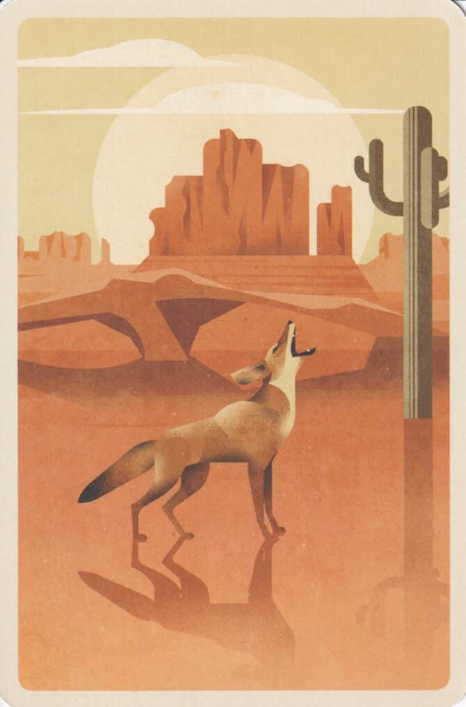 Coyote in Desert Illustrated Postcard