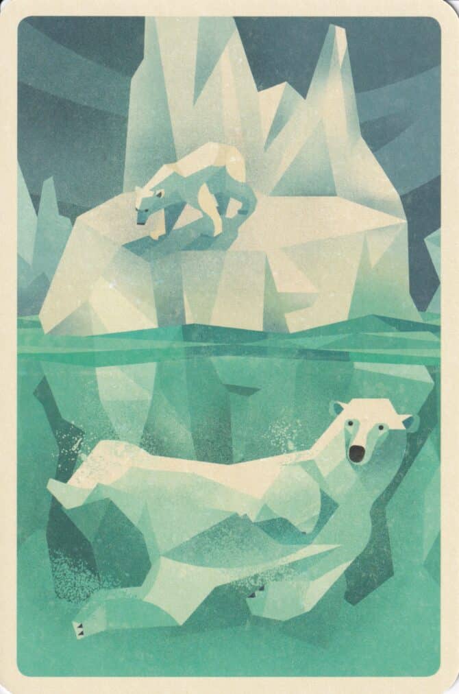 Swimming Polar Bears Illustrated Postcard