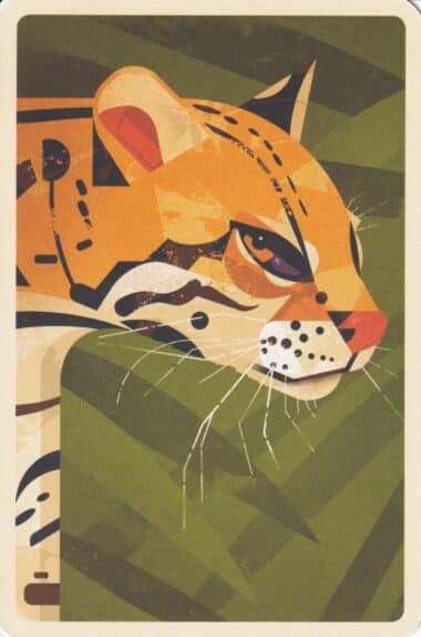 Ocelot in Jungle Illustrated Postcard