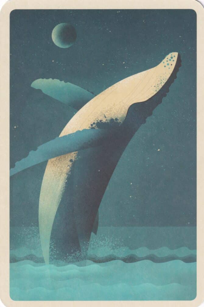 Jumping Humpback Whale at Night Illustrated Postcard