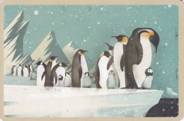 Emperor Penguins on Ice Illustrated Postcard