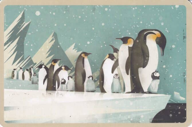Emperor Penguins on Ice Illustrated Postcard
