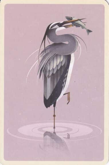 Grey Heron in Pond Illustrated Postcard