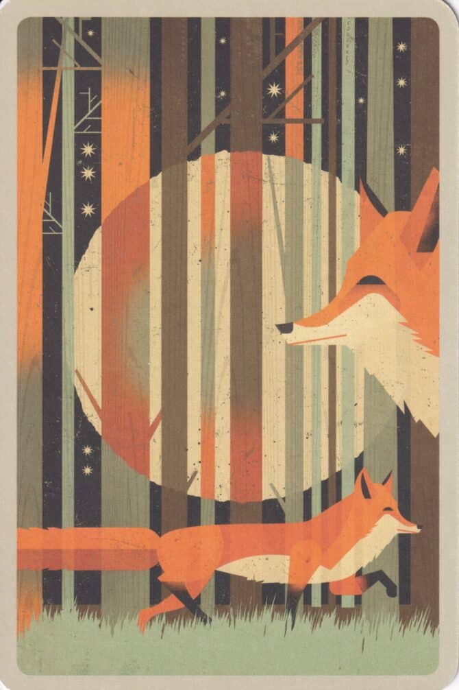 Red Fox in Forest Illustrated Postcard