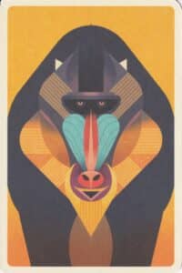 Mandrill Illustrated Postcard