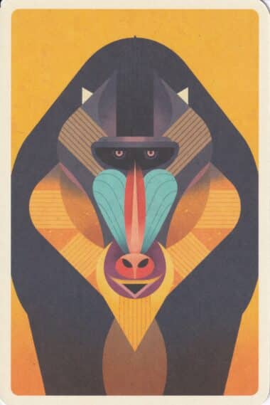 Mandrill Illustrated Postcard