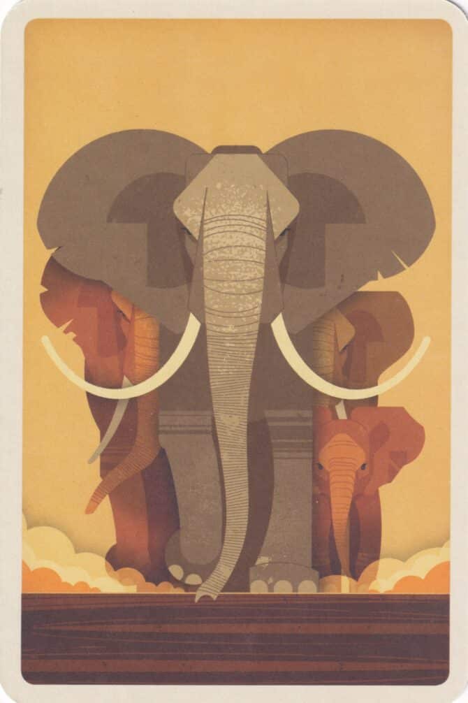 Elephant Illustrated Postcard