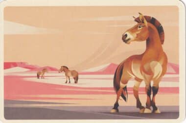 Przewalski's Horse Colorful Printed Postcard