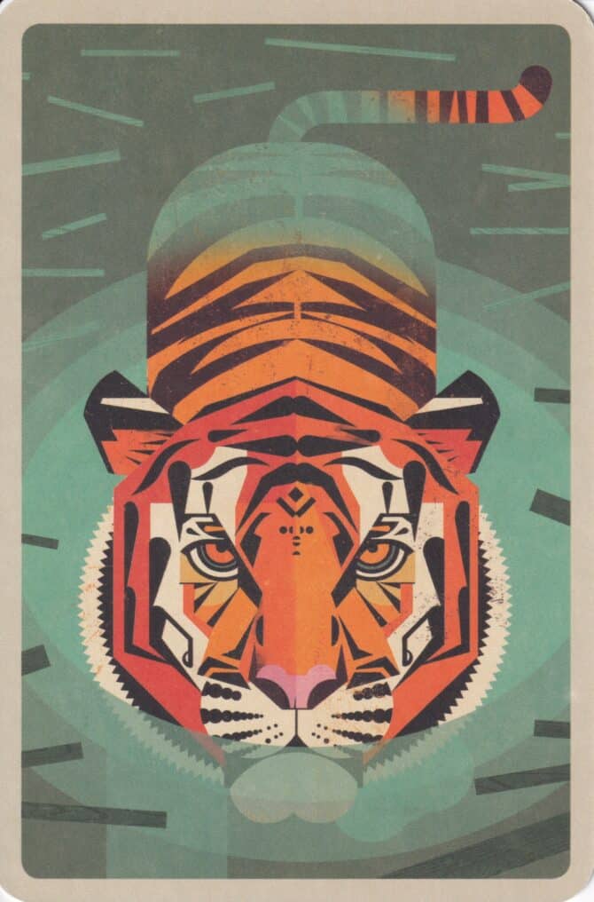 Bengal Tiger Colorful Printed Postcard