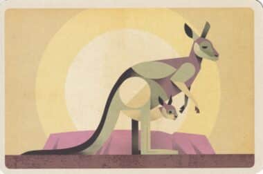Red Kangaroo Colorful Printed Postcard