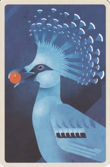 Victoria Crowned Pigeon Colorful Printed Postcard