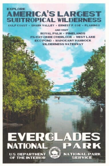 Everglades National Park Postcard