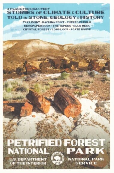 Petrified Forest National Park Postcard