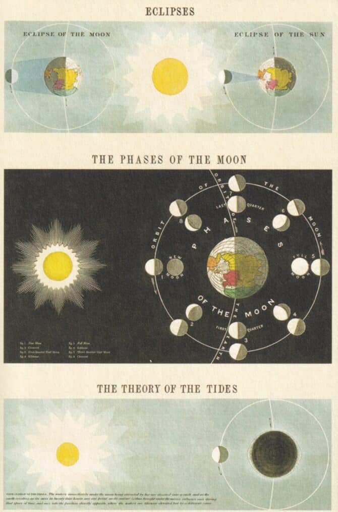 Phases of the Moon Postcard