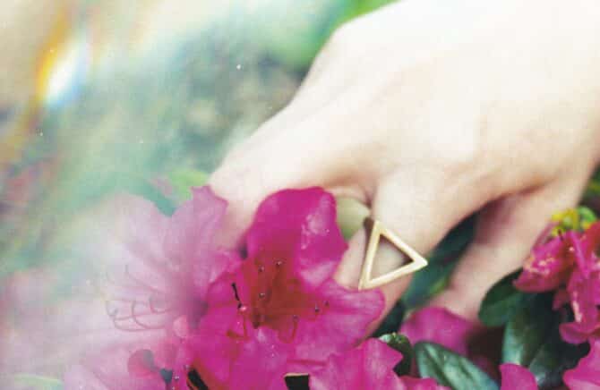Rhododendron Ring Photo Postcard