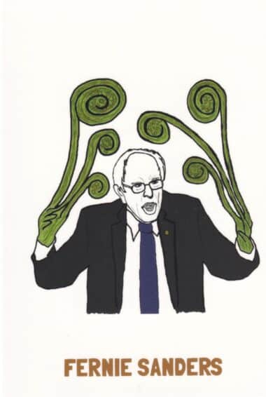 Fern Bernie Sanders Vegetable Celebrity Postcard