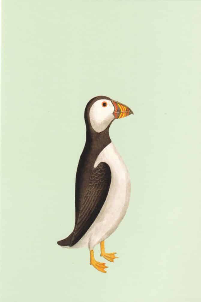 Puffin Postcard