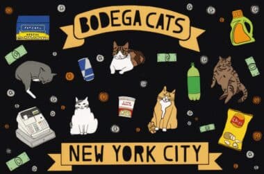 Bodega Cats of New York City Postcard