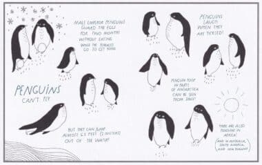 Penguins Amazing Animal Facts Coloring Postcard