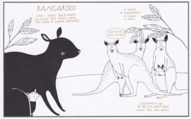 Kangaroos Amazing Animal Facts Coloring Postcard
