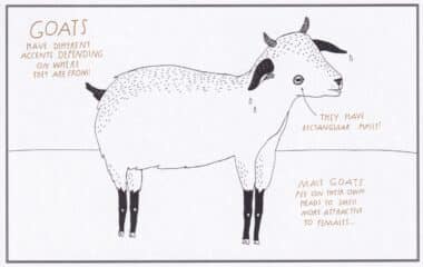 Goat Amazing Animal Facts Coloring Postcard