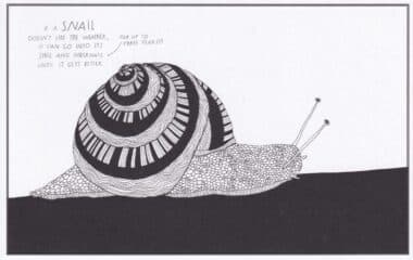 Snail Mail Amazing Animal Facts Coloring Postcard