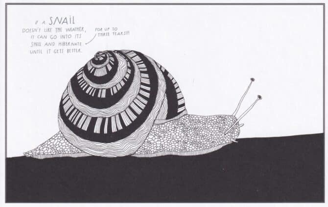 Snail Mail Amazing Animal Facts Coloring Postcard