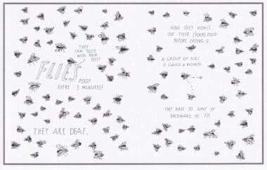 Flies Amazing Animal Facts Coloring Postcard