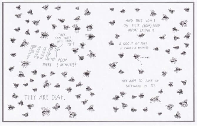 Flies Amazing Animal Facts Coloring Postcard