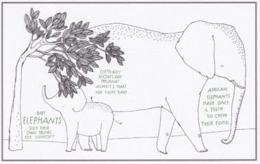 Elephants Amazing Animal Facts Coloring Postcard