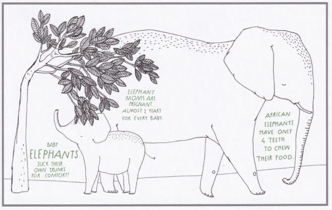 Elephants Amazing Animal Facts Coloring Postcard