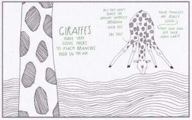 Giraffes Amazing Animal Facts Coloring Postcard