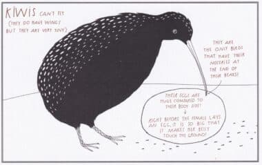 Kiwi Birds Amazing Animal Facts Coloring Postcard