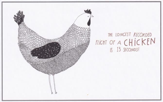 Chickens Amazing Animal Facts Coloring Postcard