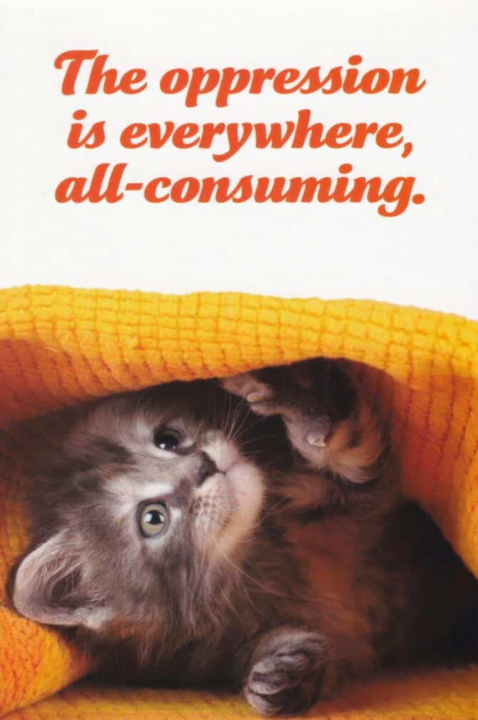 Oppression Is Everywhere Social Justice Kitten Postcard by Sean Tejaratchi