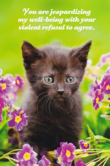 Violent Refusal to Agree Social Justice Kitten Postcard