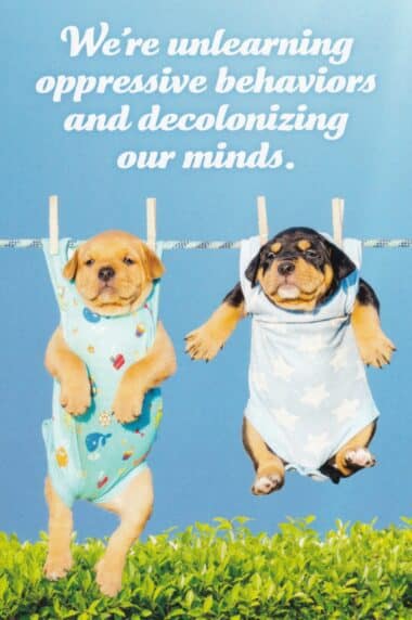Decolonizing Our Minds Social Justice Puppy Postcard by Sean Tejaratchi