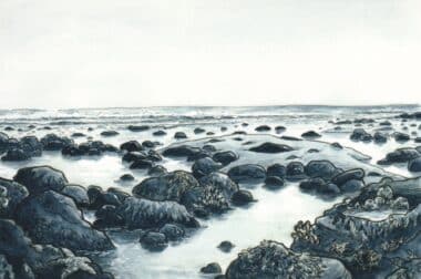 Low Tide Postcard by Lucy Bellwood