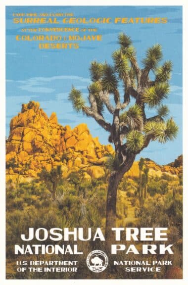 Joshua Tree National Park Postcard