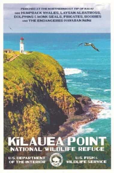 Kilauea Point National Wildlife Refuge Postcard