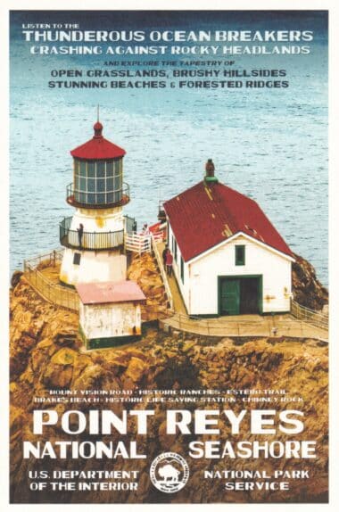 Point Reyes Lighthouse National Seashore Postcard
