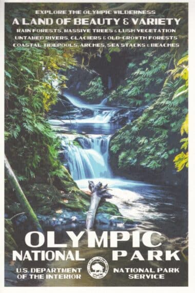 Olympic National Park Postcard