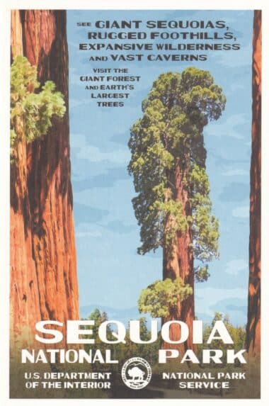 Sequoia National Park Postcard