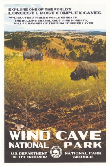 Wind Cave National Park Postcard