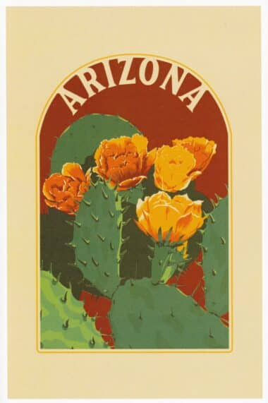 Arizona State Postcard