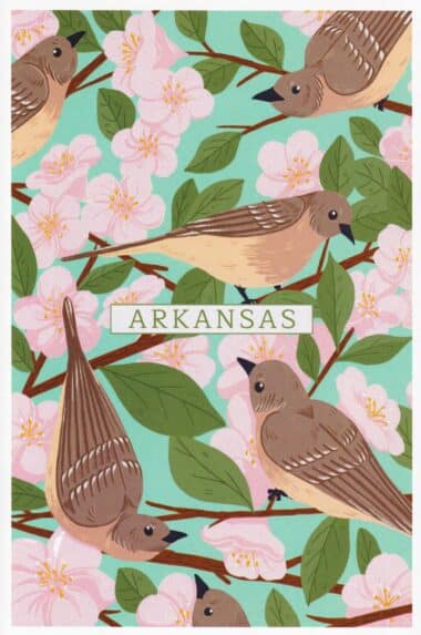 Arkansas State Postcard