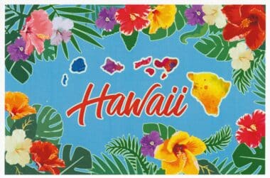 Hawaii HI State Postcard