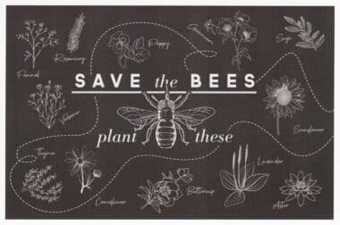 Save the Bees Plant These Pollinator Postcard